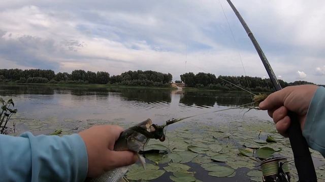 СКОРОТАЛ ВЕЧЕР НА РЕКЕ. РЫБАЛКА НА ОТВОДНОЙ ПОВОДОК. смотреть онлайн