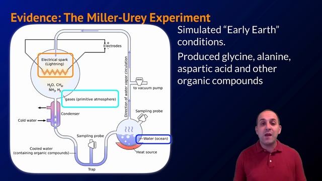 K-Bio Evolution 10: Origin of Life смотреть онлайн