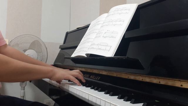 Catherine Rollin Love Theme from Lyric moments, Book 2 смотреть онлайн