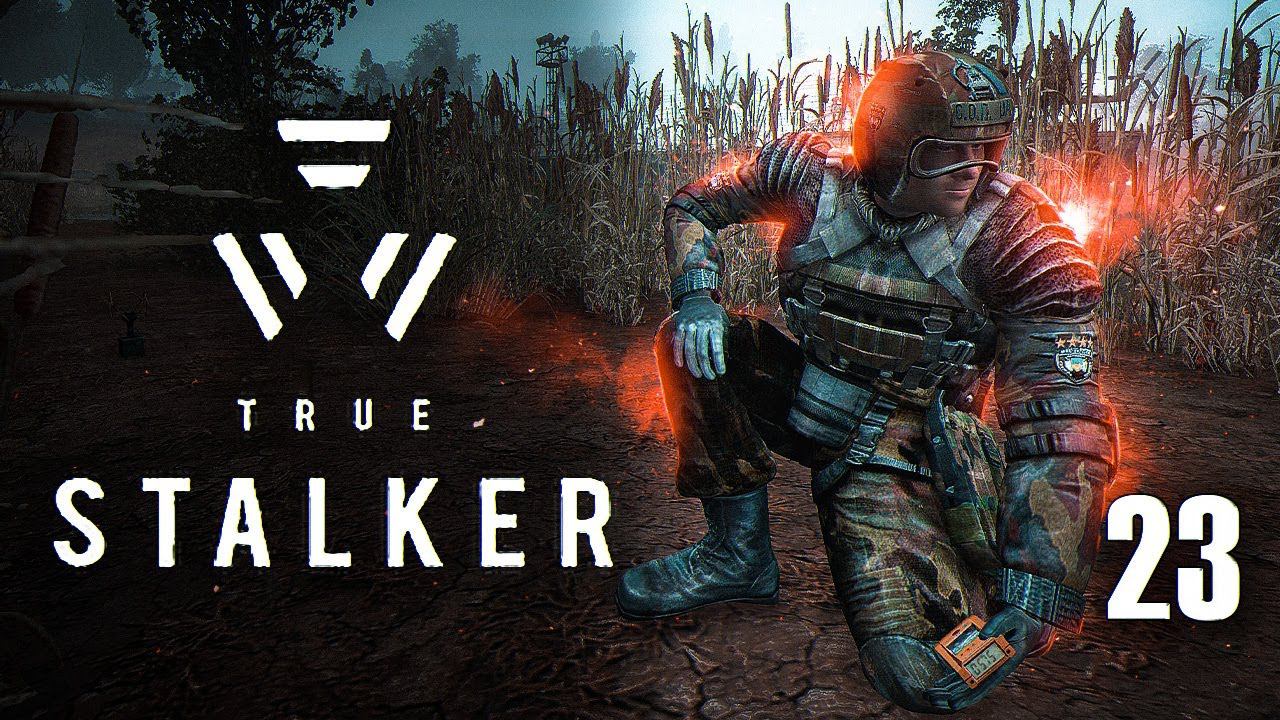 Вот это поворот! / TRUE STALKER # 23 смотреть онлайн
