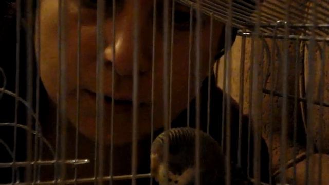 Учимся говорить смотреть онлайн