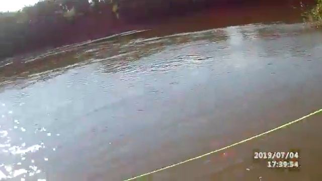 #flyfishing ВЫХОД ХИЩНИКА | нахлыст | рыбалка на Днестре 2019 смотреть онлайн