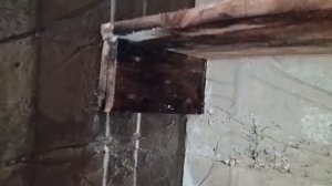 Обработка погреба от грибка и плесени.