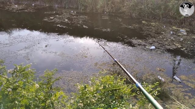 #КАРАСЬ на #ПОПЛАВОК #рыбалка смотреть онлайн