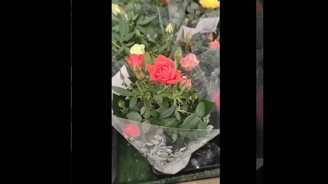 Новые приключения ПакКимонов Хотели как лучше получилось через 5 точку