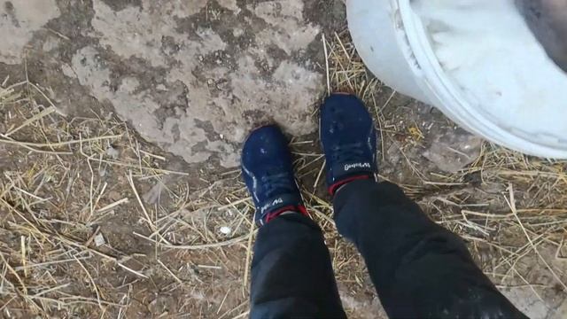 Как определить девочку от мальчика смотреть онлайн