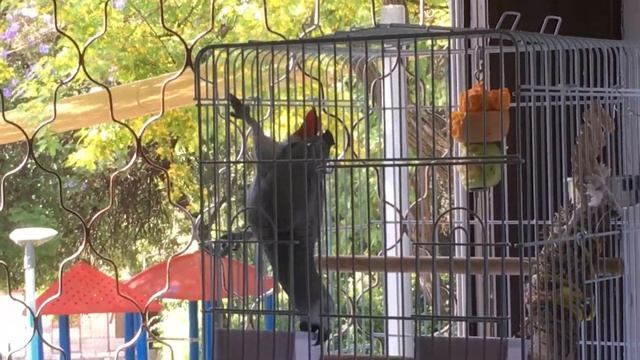 Как уговорить любого? смотреть онлайн