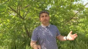 Нужен ли на КАМАЗе двухпроводной кран управления тормозами прицепа.mp4