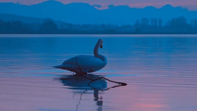 Александр Кутиков  ArtSound ремейк-версия Завтра как всегда придет