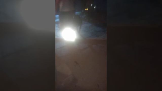 Кане Корсо немецкий метис#приехали гости# дурачимся смотреть онлайн