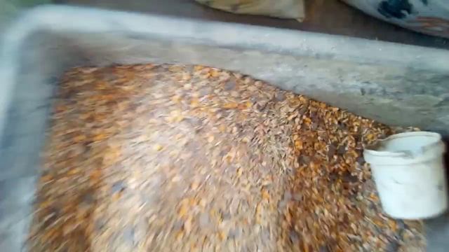 Гранулятор ВР260 комбикорм для уток и гусей 4мм гранула из цельного зерна смотреть онлайн