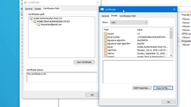 How to Get a Verified Email Badge (Extremely Rare) смотреть онлайн