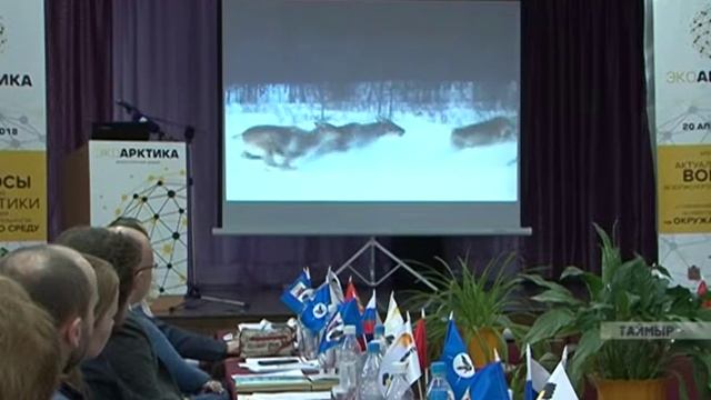 В Хатанге на экологическом форуме обсудили, как сохранить природу Арктики смотреть онлайн