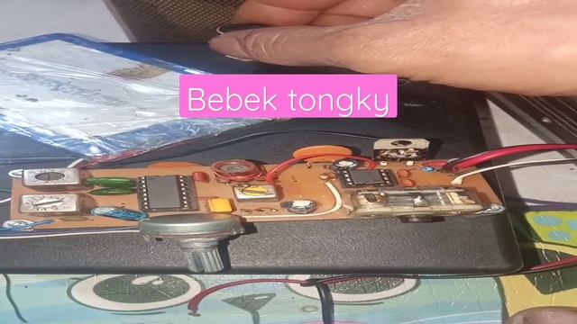 Monitor wek wek, wek wek di 80 meter band смотреть онлайн