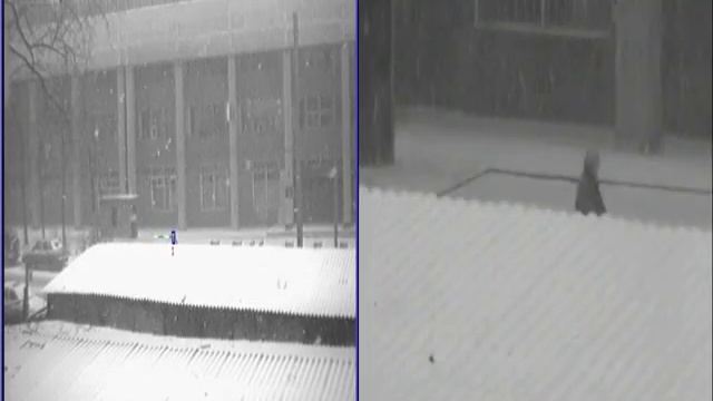 Система видеонаблюдения TRASSIR ActiveDome + SIMT смотреть онлайн