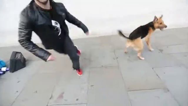 Человек против собаки смотреть онлайн