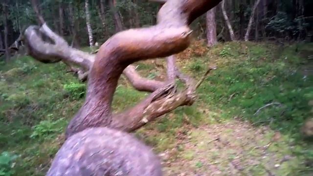Самые удивительные места на планете (ч.1) смотреть онлайн