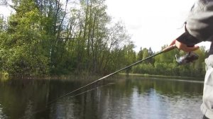 Ловля на kuusamo professor 2
