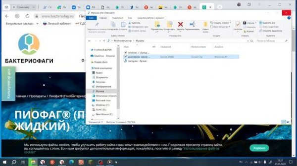 Как сделать ЗВУК ЗАПУСКА | Windows 7?