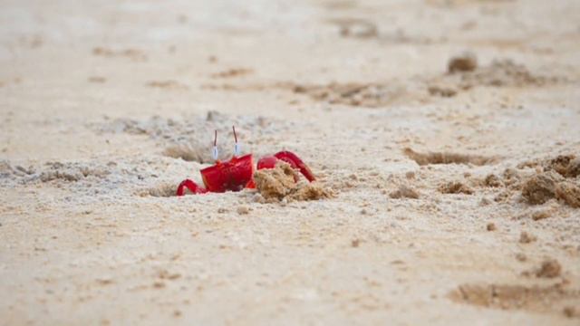 Учим Животных на английском Корова Динозавр Лошадь Слон Свинья Развивающие Мультики для Детей смотреть онлайн