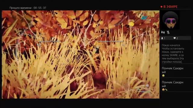 Warframe on PS4 смотреть онлайн