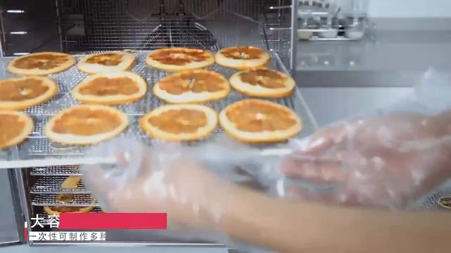 16 Floors Food Dehydrator Fruit Dryer Snack Intelligent Touch Commercial Home Use Stainless Steel смотреть онлайн