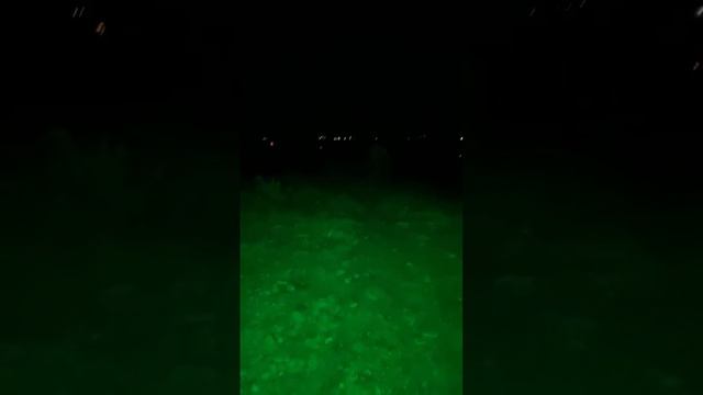 VE LO QUE ENCONTRE EN ESTE SITIO DE BRUJAS смотреть онлайн