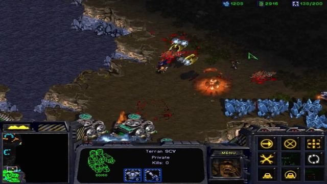 Starcraft BroodWAR   1 Vs 7