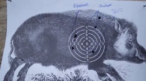Стреляем пулей из гладкого по «кабану»