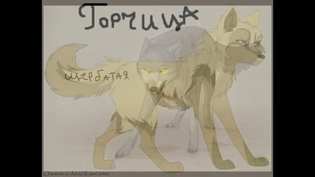 Коты воители в образе волков! смотреть онлайн