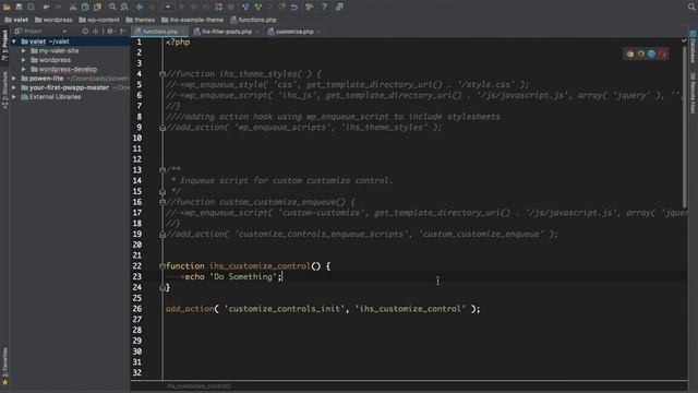 WordPress Hooks Actions customize controls init Part-12 Example смотреть онлайн