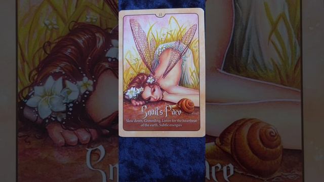 Snails Pace ? Wild Wisdom of the Faery Oracle card meaning смотреть онлайн