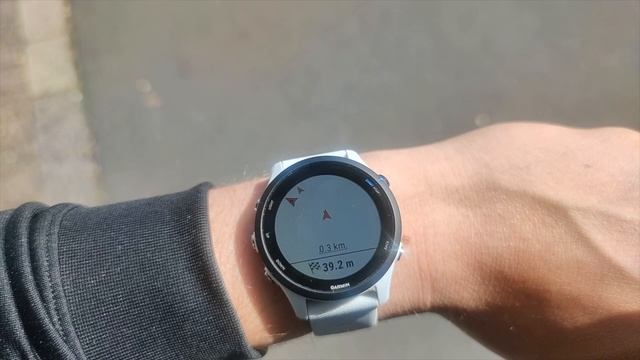 Garmin Forerunner 955 oder 255? Das sind die Unterschiede! смотреть онлайн