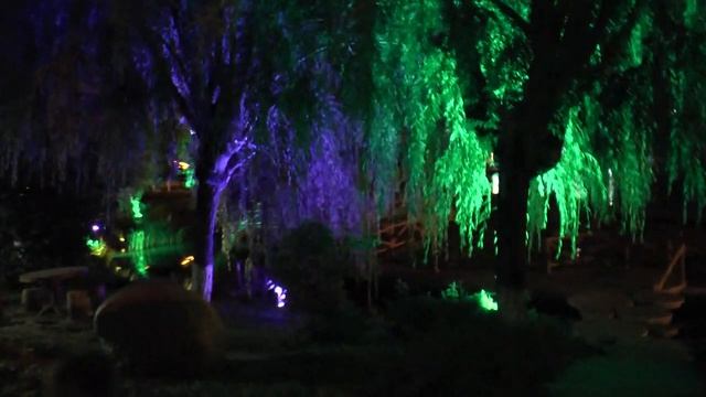 # КИТАЙ # ХУНЬЧУНЬ # ВЕЧЕРНИЙ ПАРК # ПРОСТО СКАЗКА #