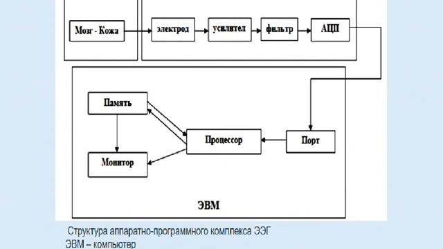 Лекция 3  Генез и методы исследования ЭЭГ