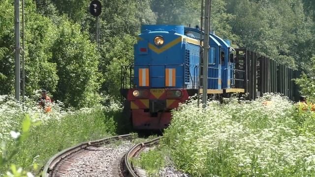Тепловозы ТЭМ2-2757, ТЭМ2-9070 с грузовым составом + тепловоз ТЭМ2-1327