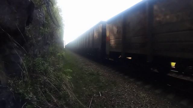 Электровозы 3ЭС5К-1414 и 3ЭС5К-1145 "Ермак" со сдвоенным грузовым поездом на вечернем Транссибе. смотреть онлайн