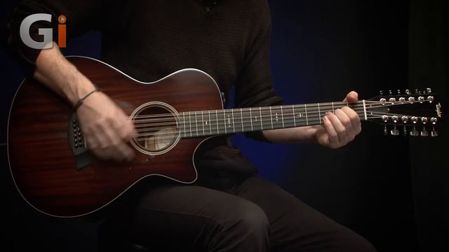 Taylor Guitar Review 562CE 12 String Acoustic смотреть онлайн