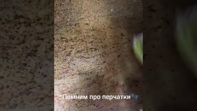 ЧИСТАЯ ДУХОВКА смотреть онлайн