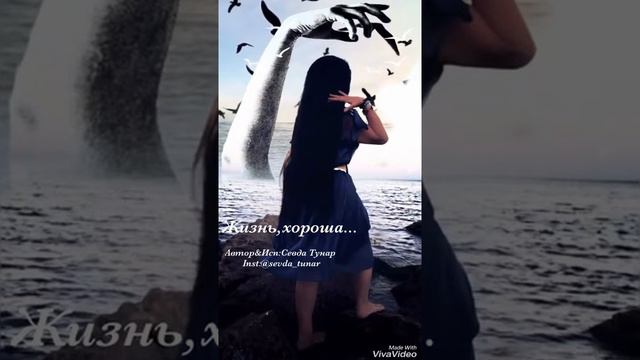 Жизнь,хороша..Автор&Исп;Sevda Tunar/Севда Тунар/Confluence-John Williams/music смотреть онлайн