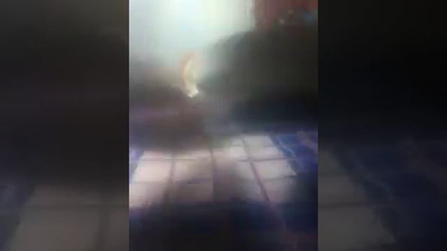 Показую свой бисер заказанный по интернет.~ Nastya Kat ~ смотреть онлайн