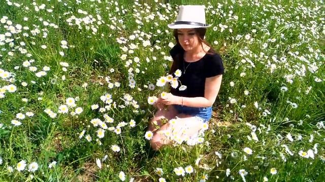 Привет,ромашки*** смотреть онлайн