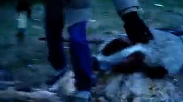 Ночь в Лесу смотреть онлайн