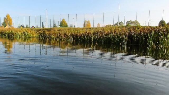 Сплав по реке Нежеголь. смотреть онлайн