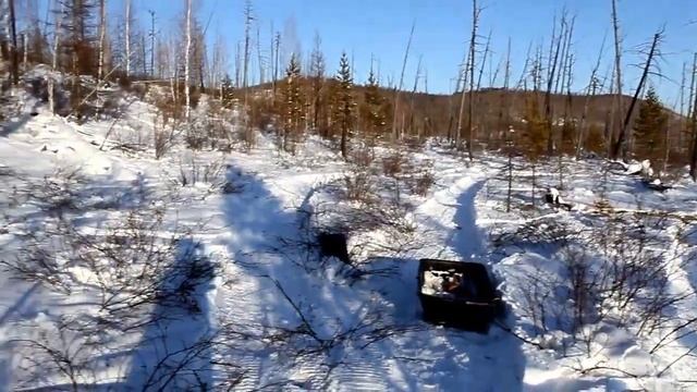 Жена охотника. смотреть онлайн