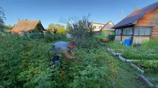 Влог_Варю малиновое варенье,фарширую перчики Мои будни_Недельный влог.mp4 смотреть онлайн