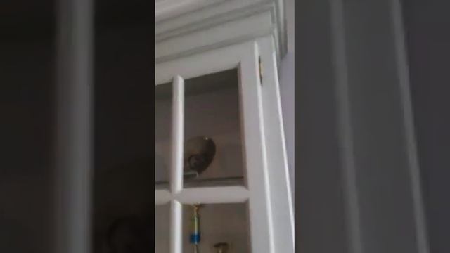 Сервант Бьерт 1-50 покоряет своей эстетикой и красотой. смотреть онлайн