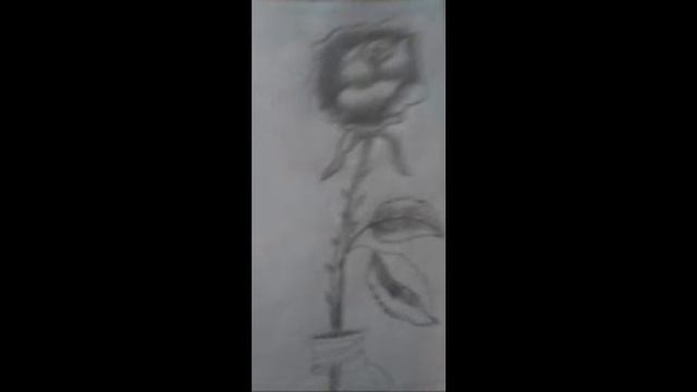 Highlight 0:00 – 1:10 From 𝐋𝐨𝐟𝐢.𝐌𝐮𝐬𝐢𝐜𝟐.𝟐 Is Live Drawing