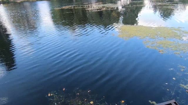 Тюринка-район Харькова. Тюринское озеро, Парк Памяти, Метромост смотреть онлайн