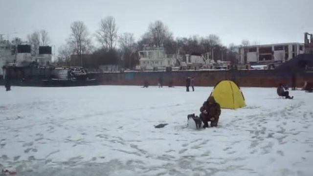 Рыбалка в Шлиссельбурге. смотреть онлайн